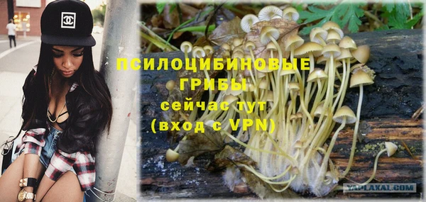 ГАЛЛЮЦИНОГЕННЫЕ ГРИБЫ Алексеевка