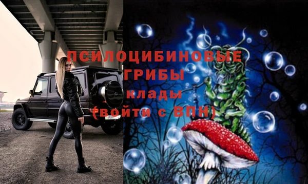 ГАЛЛЮЦИНОГЕННЫЕ ГРИБЫ Алексеевка