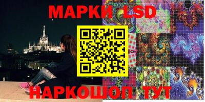 стафф Славгород