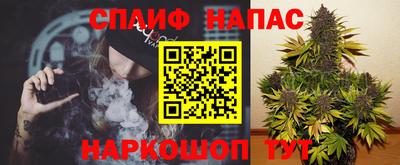 таблы Сланцы