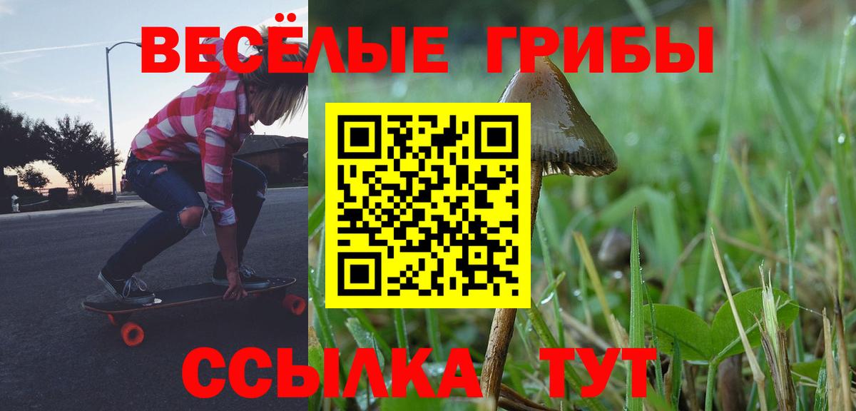 Галлюциногенные грибы GOLDEN TEACHER  Вход с VPN  Арсеньев 