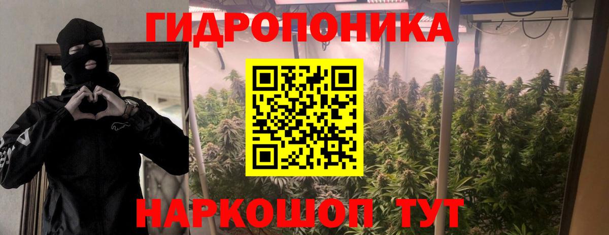 Конопля Amnesia  Вход с VPN  Арсеньев  Бошки марихуана конопля  Марихуана THC 21% 